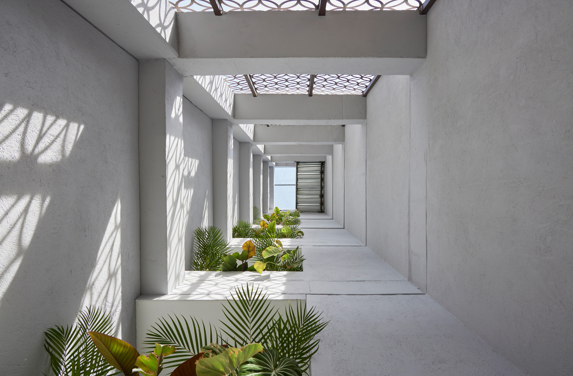 Patio interior blanco del Edificio Green Loft con celosía y jardines en cada nivel