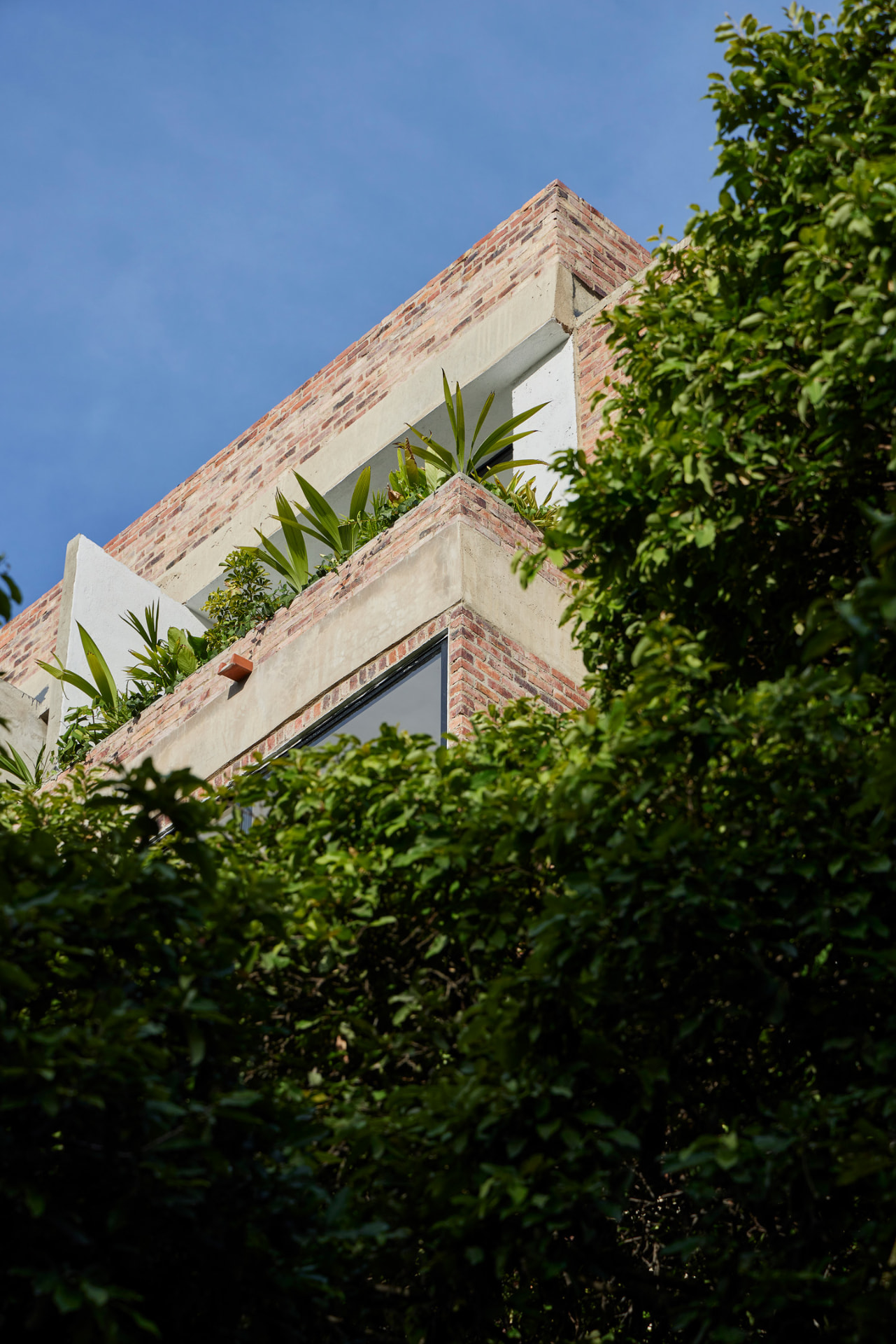 Esquina del Edificio Green Loft entre la vegetación con ladrillo a la vista