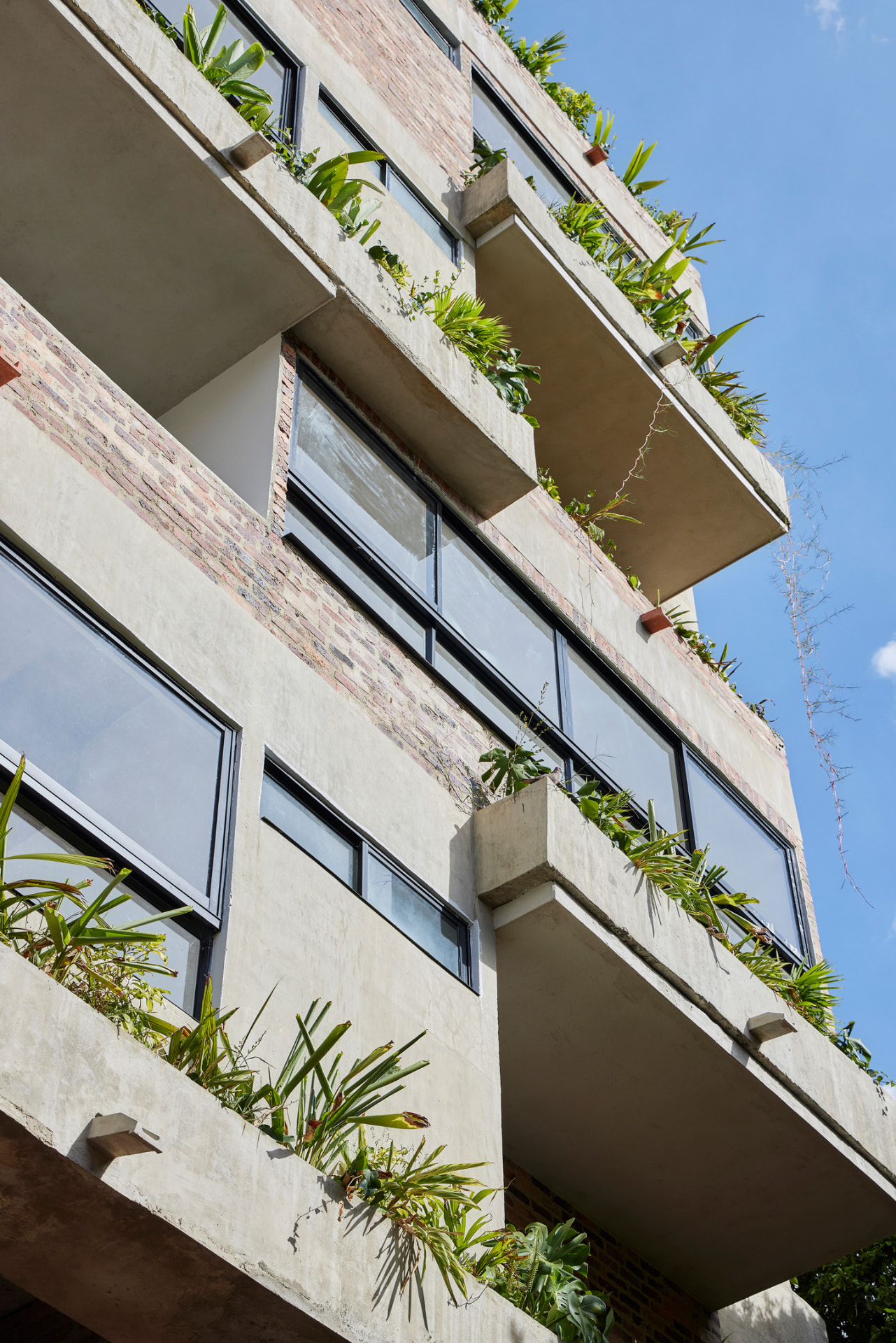 Balcones del Edificio Green Loft con jardineras y ventanales de piso a techo