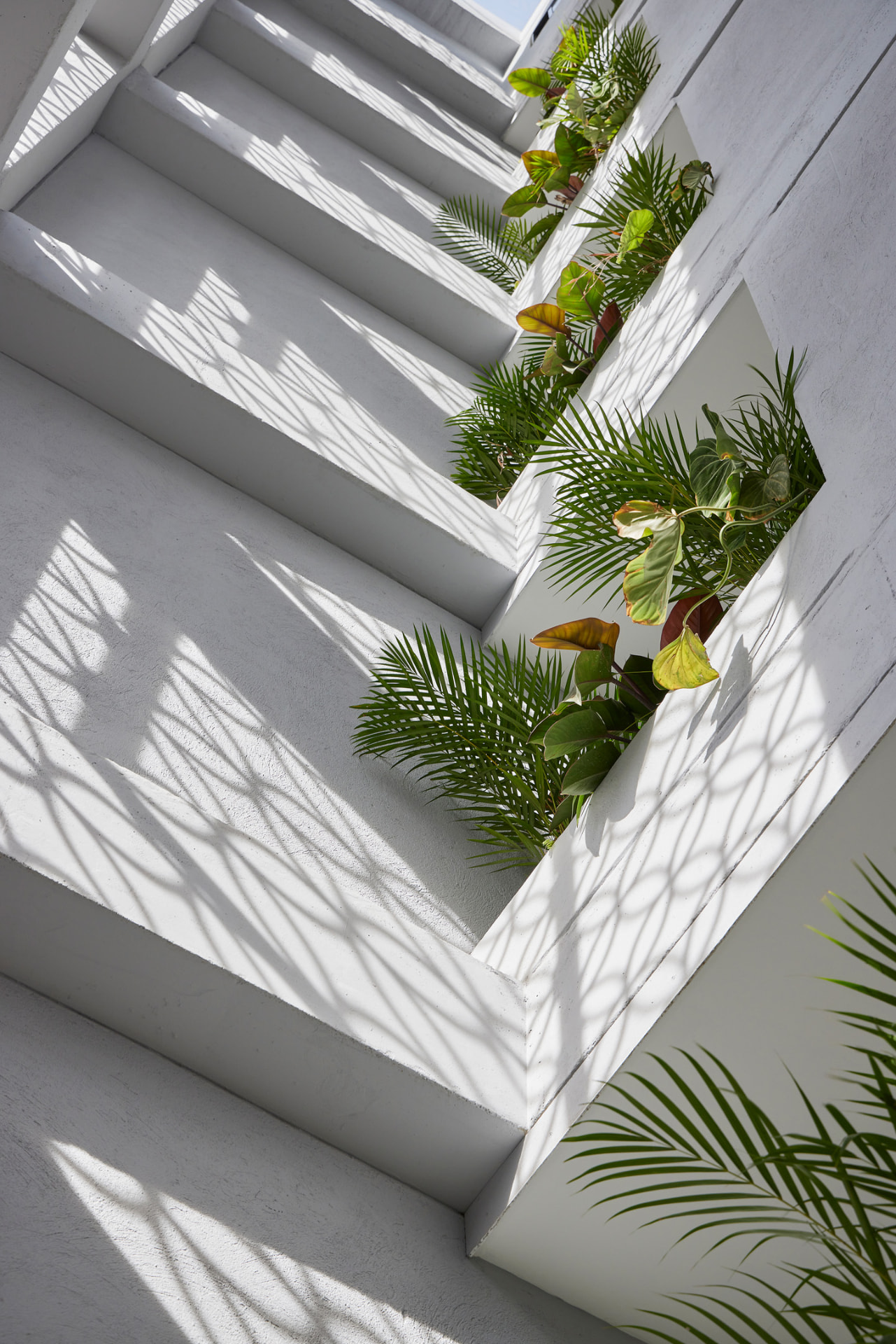 Jardines verticales del Edificio Green Loft entre losas de concreto blanco